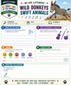 10624 : Carnival of the Animals | Complete Music Appreciation Unit | Saint-Saëns