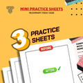 Internet Memes Worksheets | Middle & High School | Composition 3 Exercises