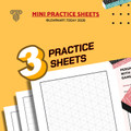 Video Games Perspective Worksheets | Middle & High School | 3 Exercises