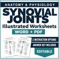 Synovial (Diarthrosis) Joints Worksheet- Illustrated