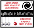 Planes of Motion Interactive Worksheet- Now w/ Distance Learning Option!