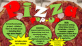 Pizza - STEM - Chemical Changes, Cooking, Planning and Fundraising