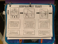 Respiratory Foldable Activity- Anatomy/Physiology and Facts!