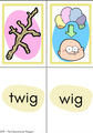 Flash Cards: CVC Word Family 'e' and 'i'