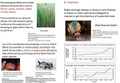 Biodiversity and Aspects of Behavior Learning Activities for AP Biology (Distance Learning)