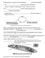 Cell Respiration/Thermoregulation Learning Activities for AP Biology (Distance Learning)