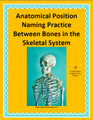 Anatomical Position Naming Practice Between Bones in the Skeletal System