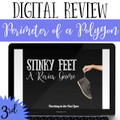 Perimeter of a Polygon Review Game - Digital Stinky Feet