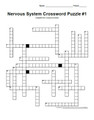 Nervous System Crossword Puzzle Set #1