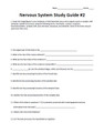 Nervous System Study Guide Set