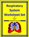 Respiratory System Worksheet Set