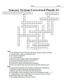 Sensory System Crossword Puzzle Bundle - Four Total!