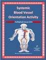 Systemic Blood Vessel Orientation Activity for the Circulatory System