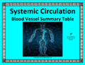 Systemic Blood Vessel Summary Table