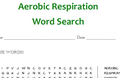 Respiration Word Searches (4 word searches!)