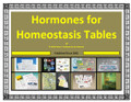 Hormones for Homeostasis Table Activity Bundle