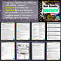 Energy, Work, & Simple Machines Interactive Notebook BUNDLE