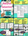 Evolution and Natural Selection Notebook Printable Bundle