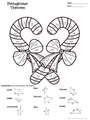 Christmas/Holiday Geometry Color Sheets (Congruence, Pythagorean Thm, etc)