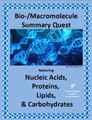 Macromolecule Summary Quest (Proteins, Lipids, Carbs, Nucleic Acids)