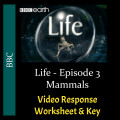 Life - Episode 03 - Mammals - Video Response Worksheet & Key