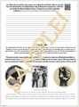 Black Panther Party 10-Point Program Analysis Activity & Graphic Organizer