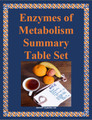 Enzymes of Digestion and Cellular Respiration Summary Table