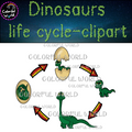 Dinosaur life cycle