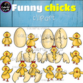 Funny chicks