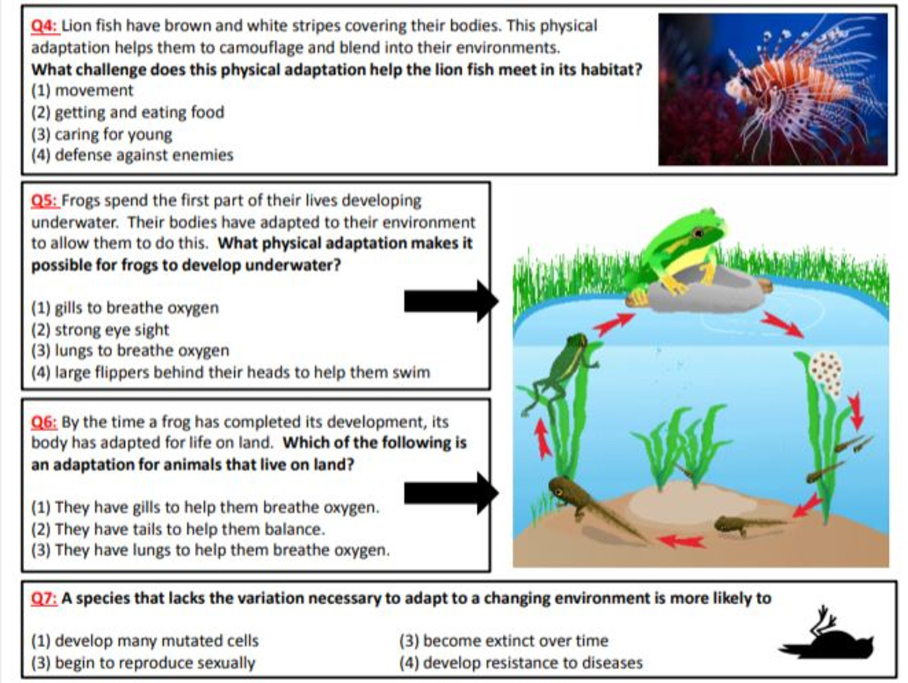 Natural Selection Snurfle Islands Amped Up Learning