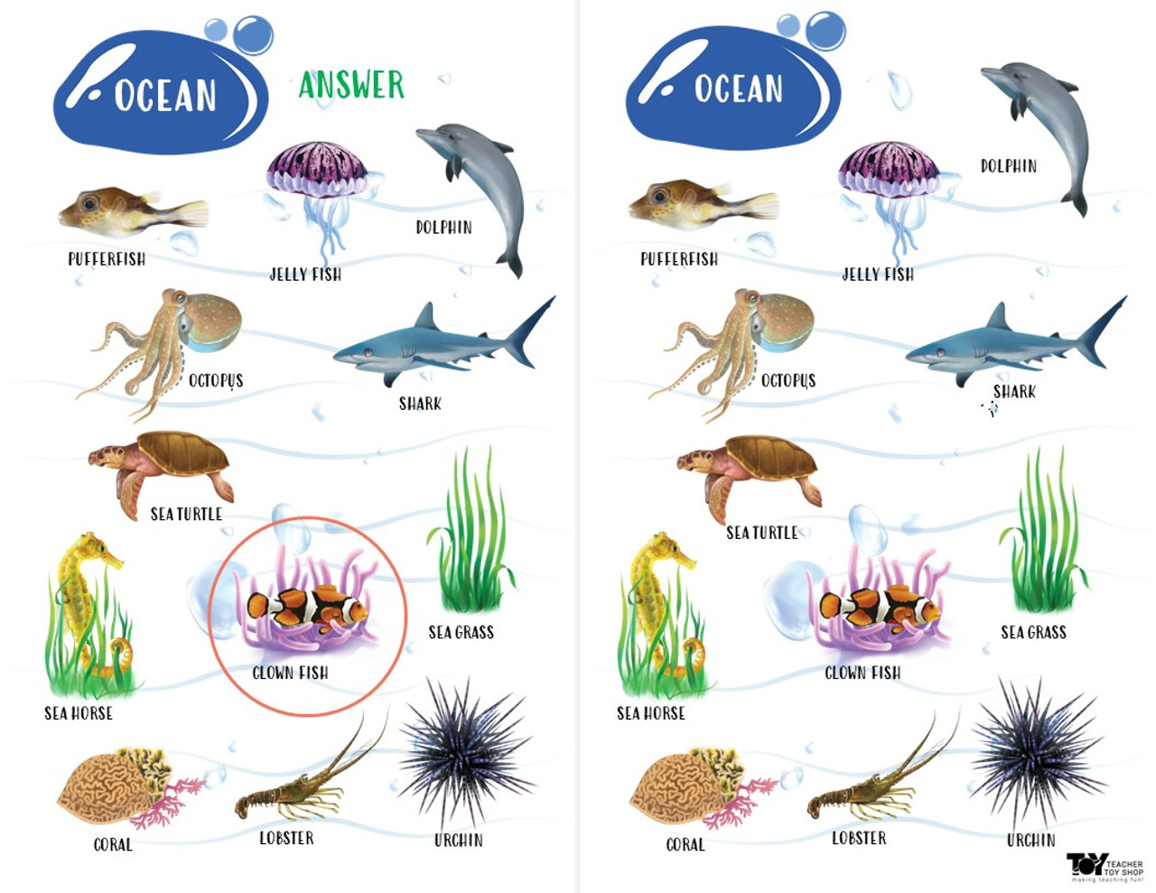 Ecosystems and Biomes Ocean Game