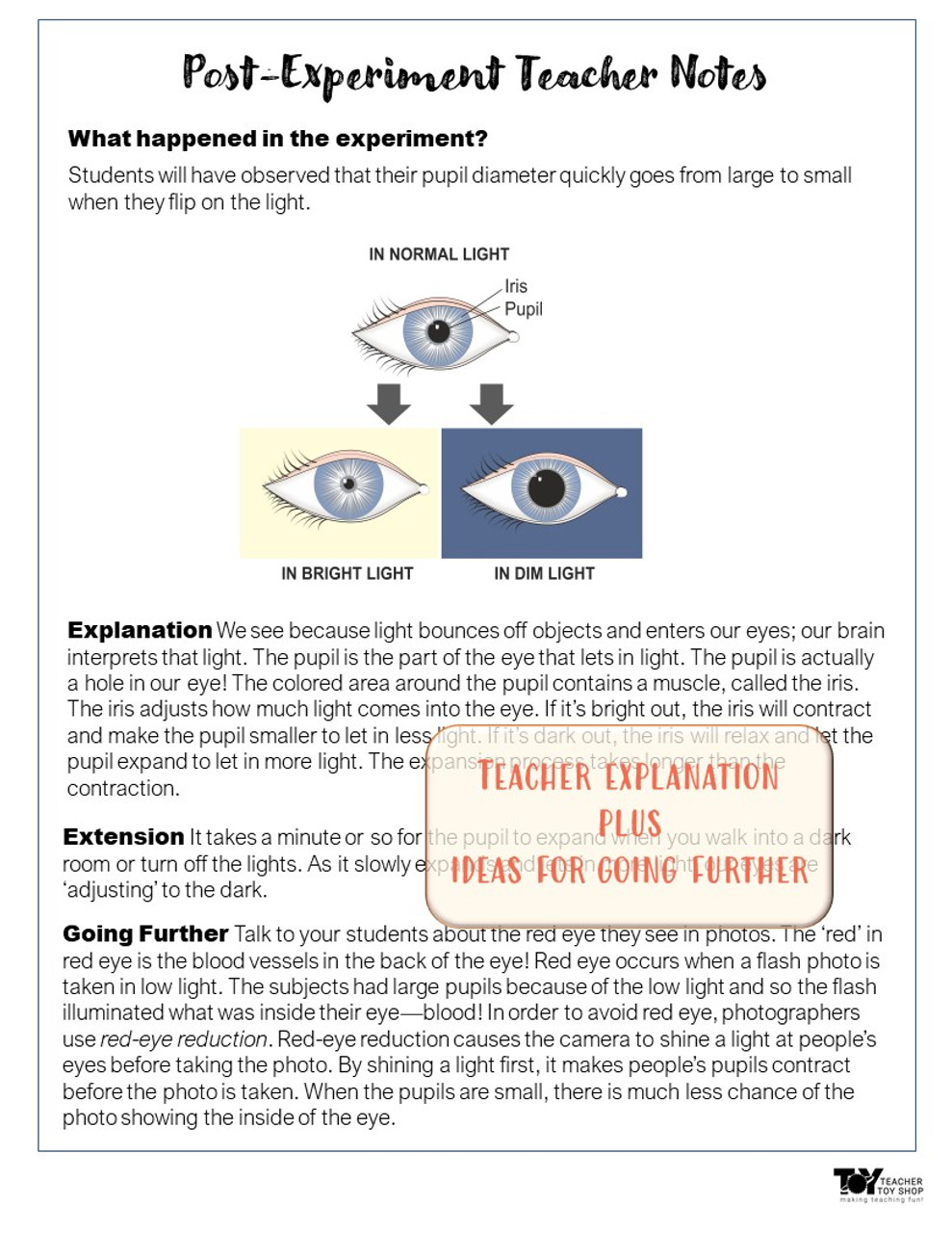 Light and Eyes Science Activity