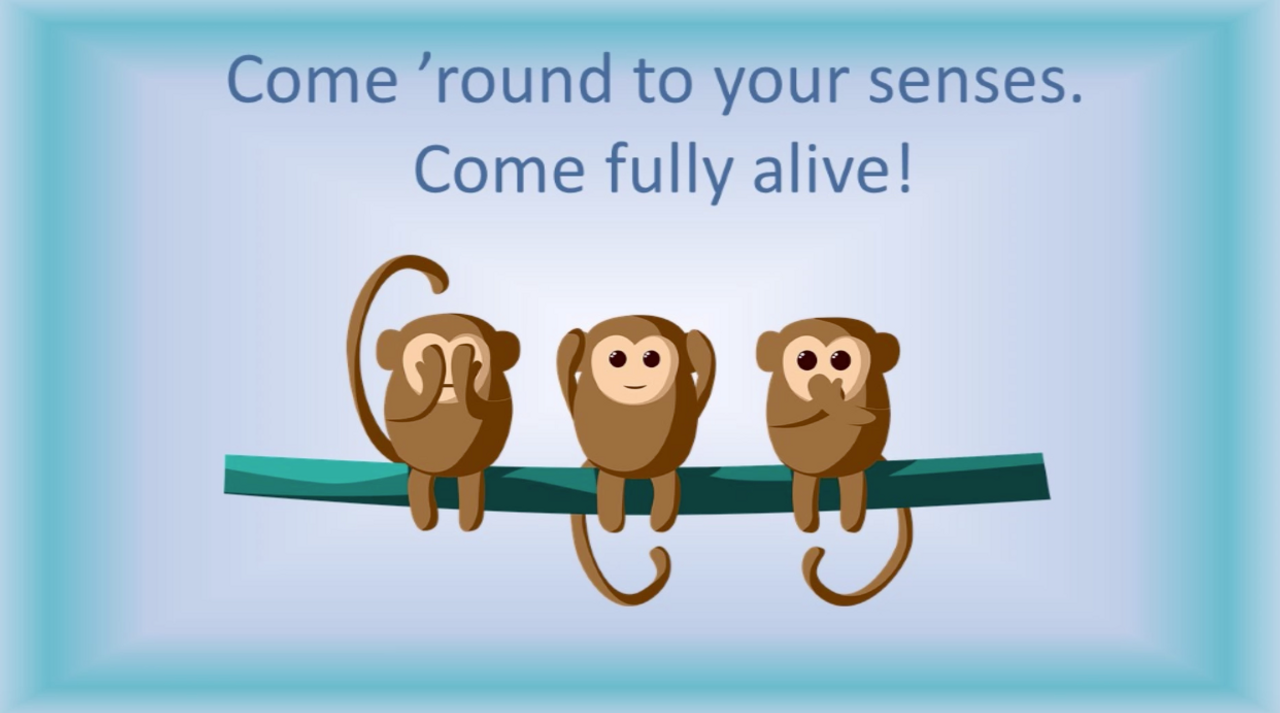 'COME TO YOUR SENSES' (Grades Pre-K - 3) ~ Curriculum Song Video