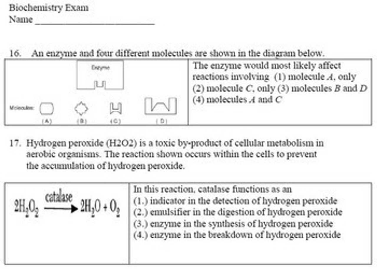 Intro to Biochemistry and Enzyme Learning Activities (Distance Learning)