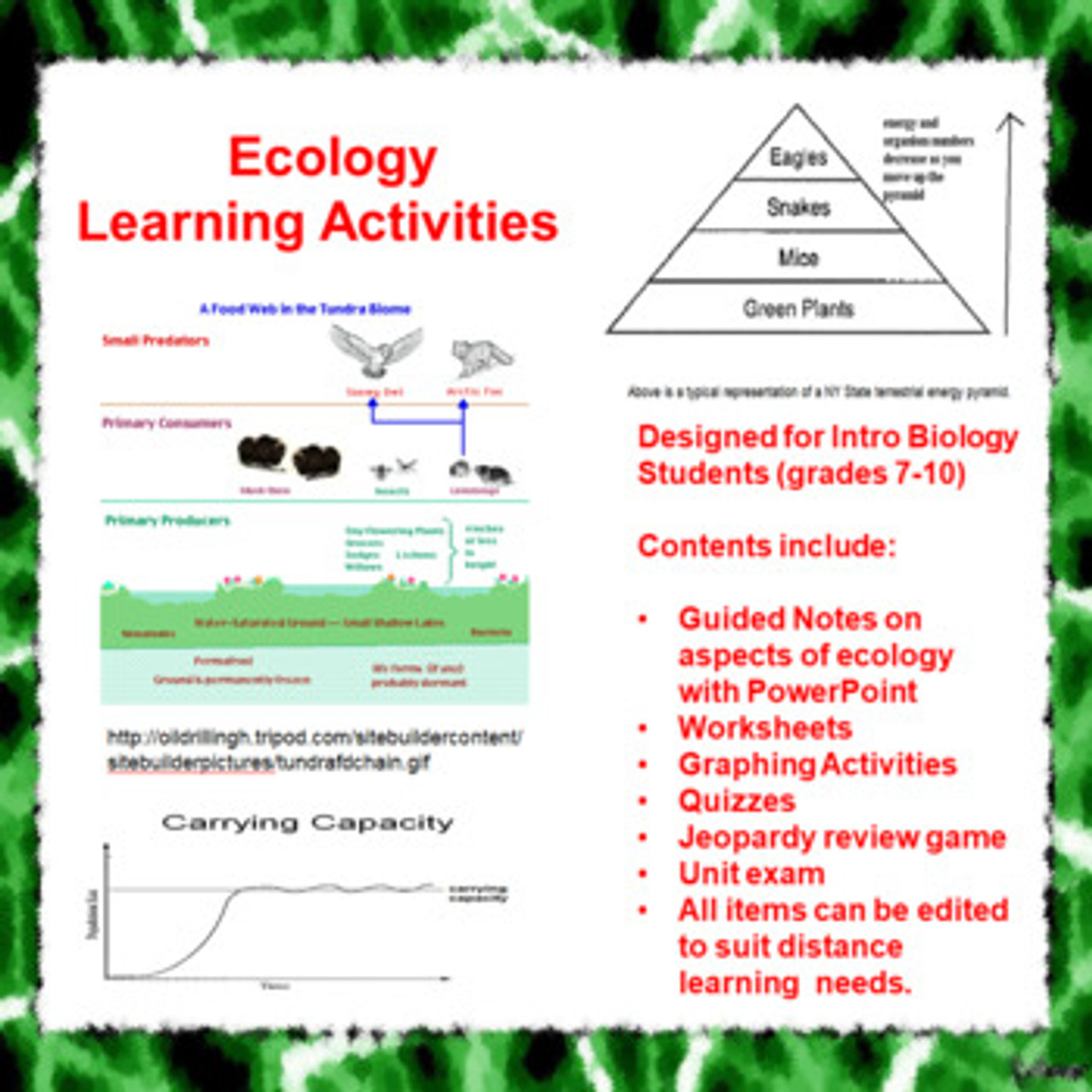 Ecology Learning Activities (Distance Learning)