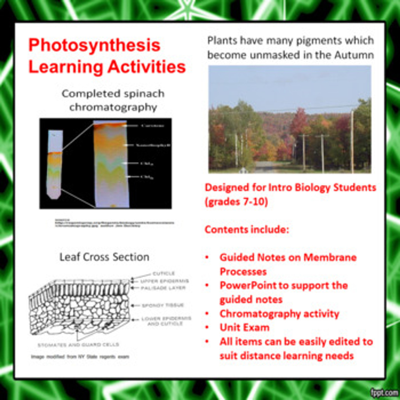 Photosynthesis Learning Activities (Distance Learning)