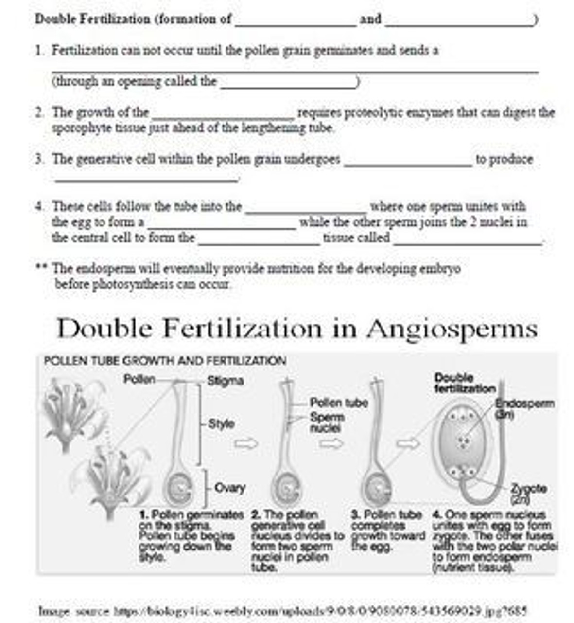 Plant Reproduction and Development Learning Activities (Distance Learning)