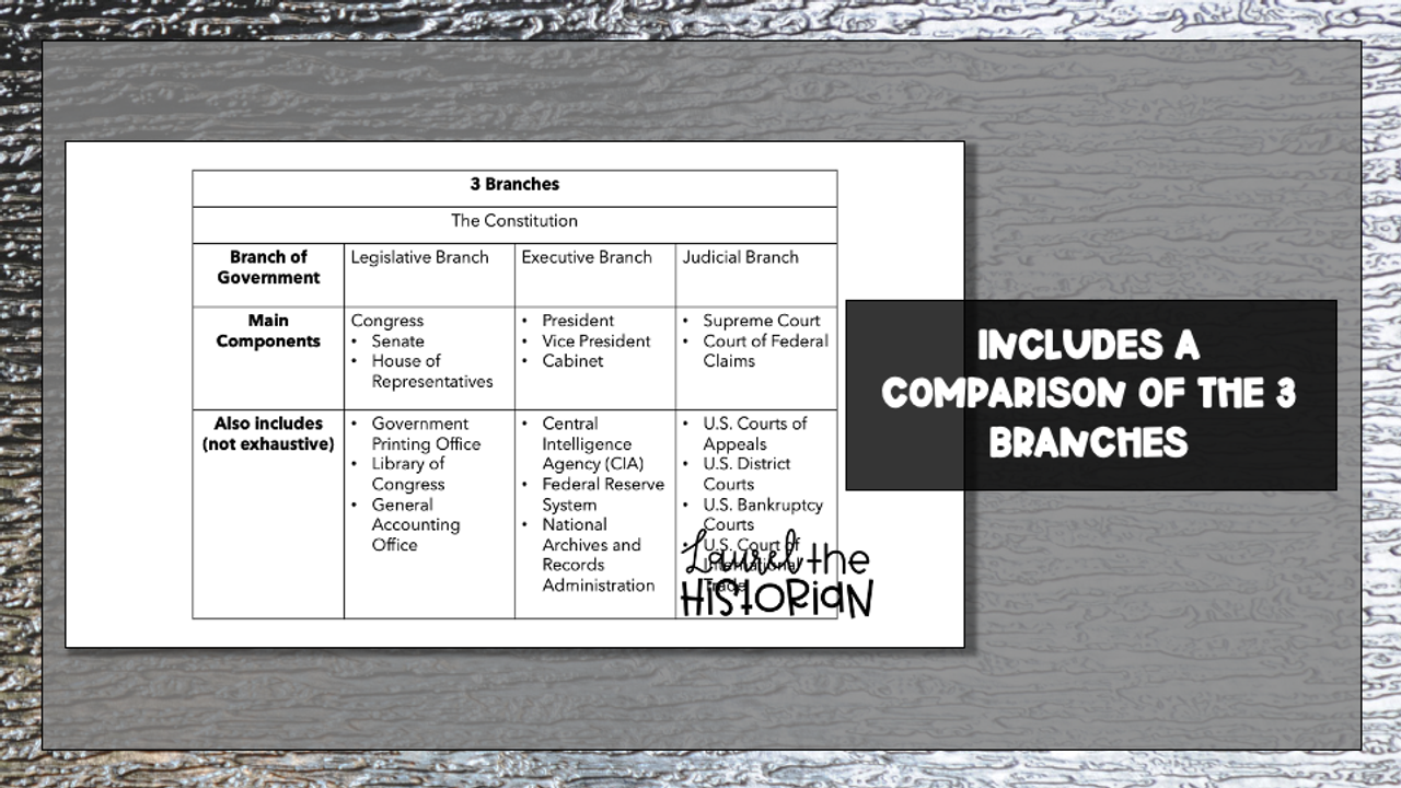 3 Branches Checks and Balances Presentation 