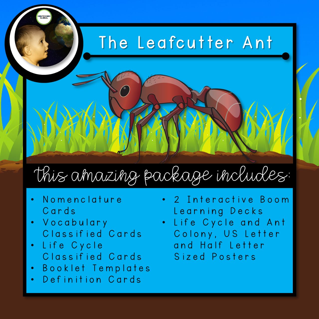 Parts of the Ant and Lifecycle  Montessori Cards and Boom Cards™