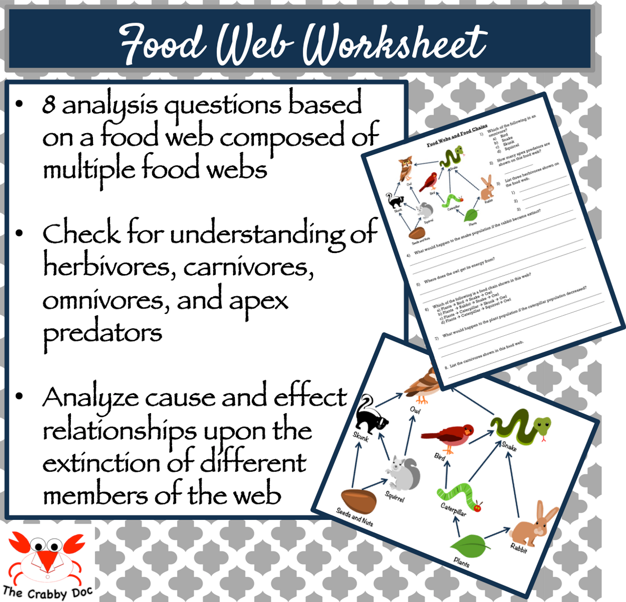 Food Webs Worksheet