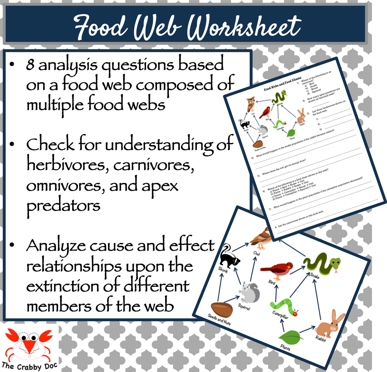 owl food web worksheets