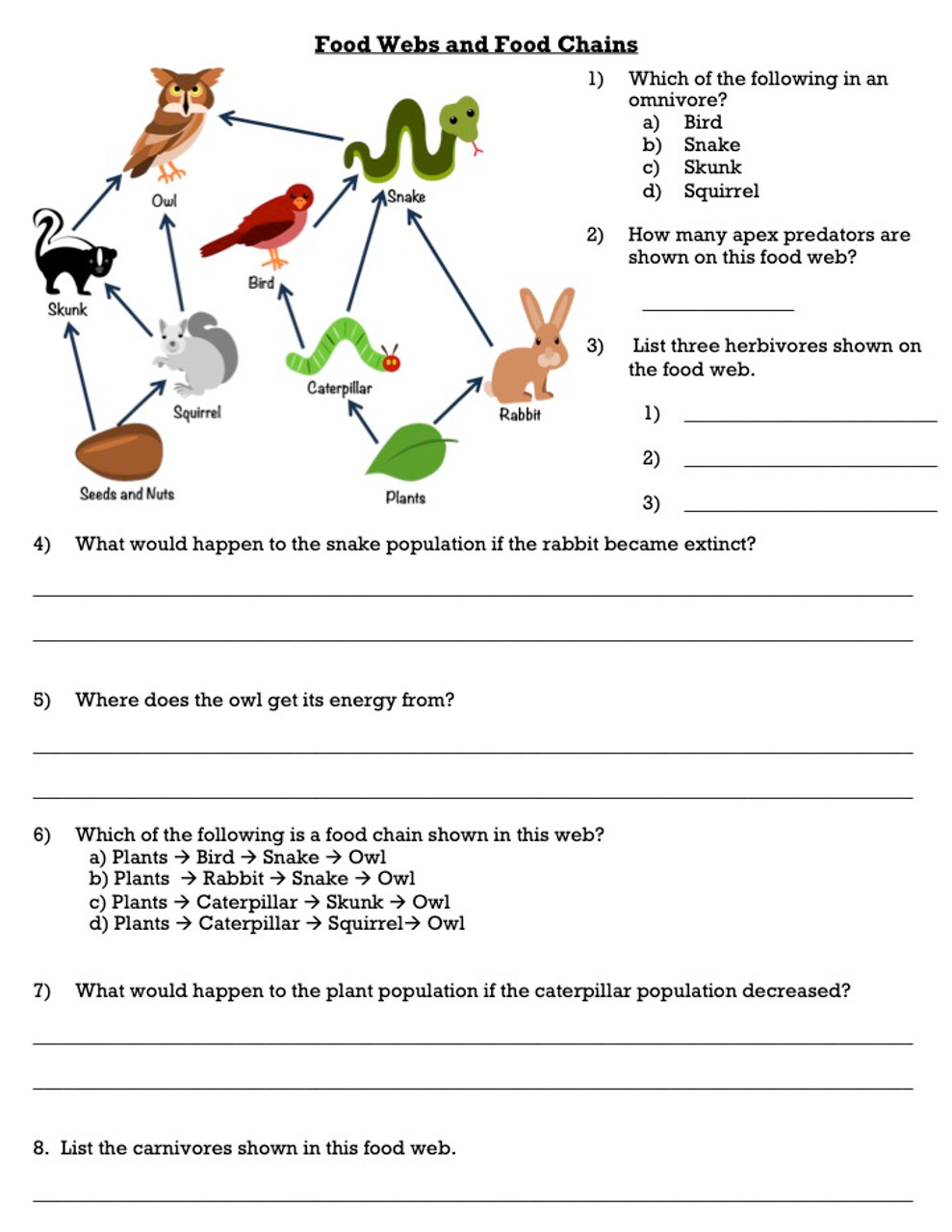 Food Chain Worksheet Pdf – Owhentheyanks.com