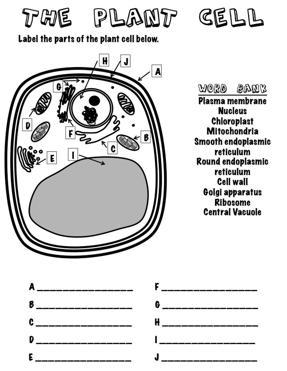 The Plant Cell Label with Word Bank - Amped Up Learning