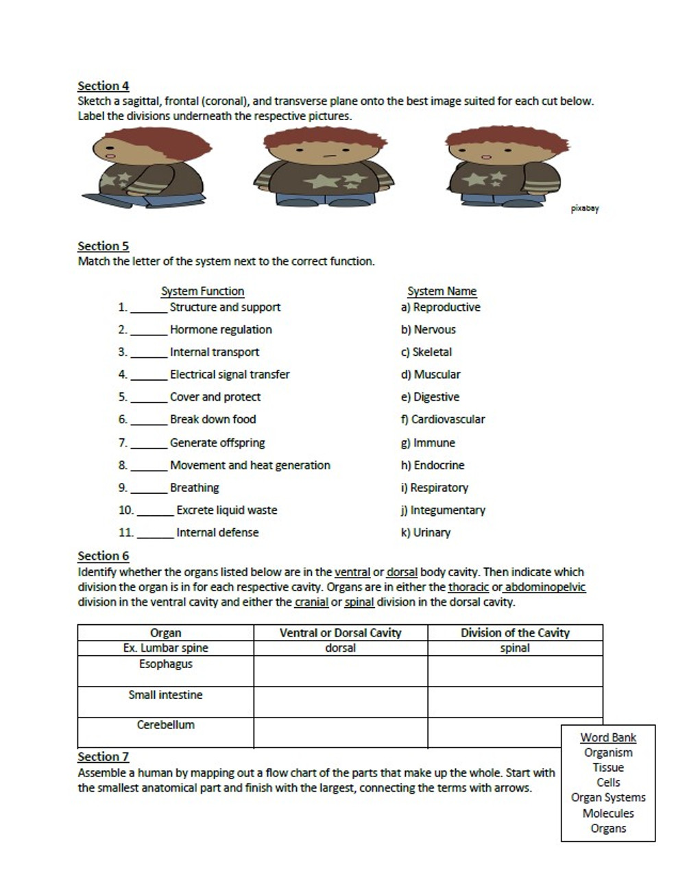 Human Anatomy and Physiology Unit One Review Sheet