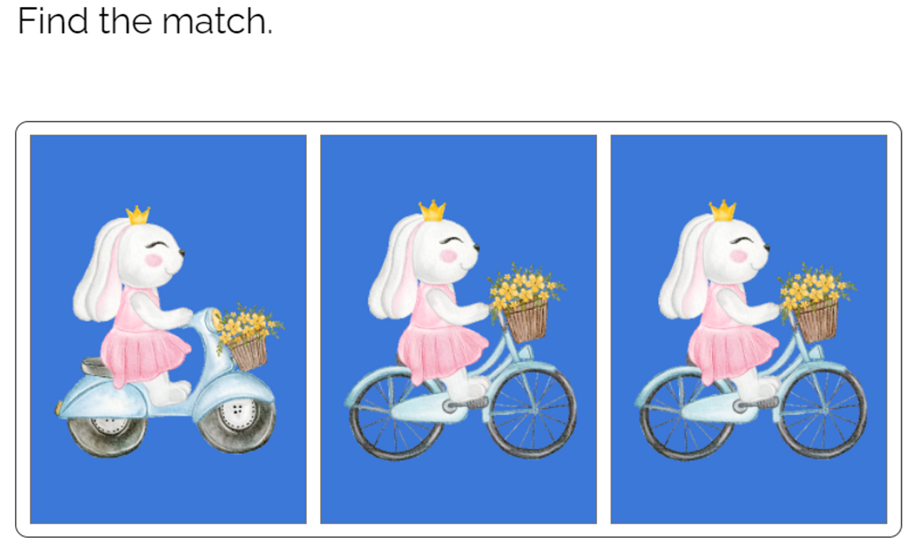 Matching: Spring Animal Theme Boom Cards™