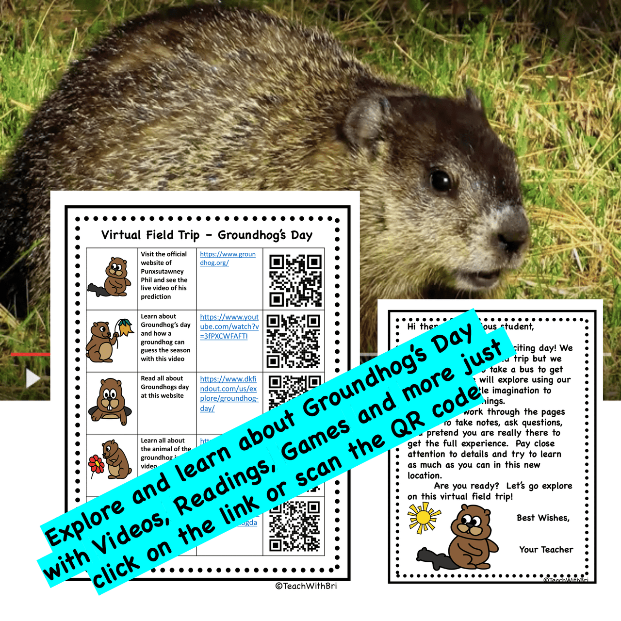 Google Drive Version: Virtual Field Trip - Groundhog's Day