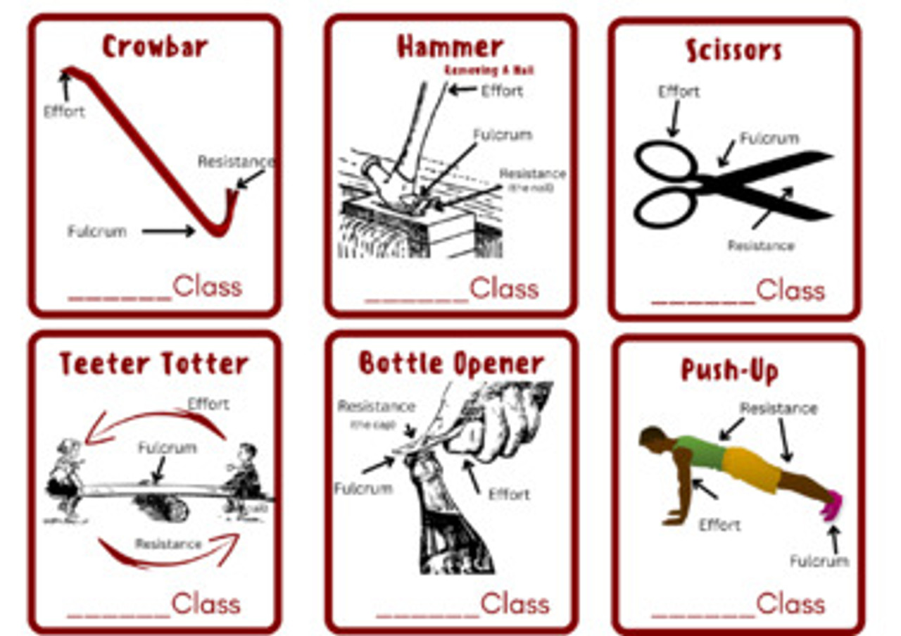 lever simple machines