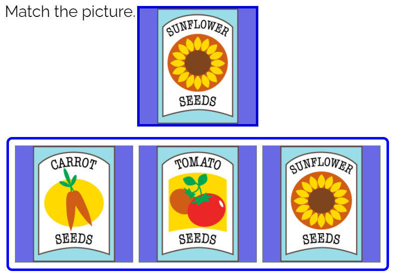 Match the Picture: Spring Theme Boom Cards™ - Amped Up Learning