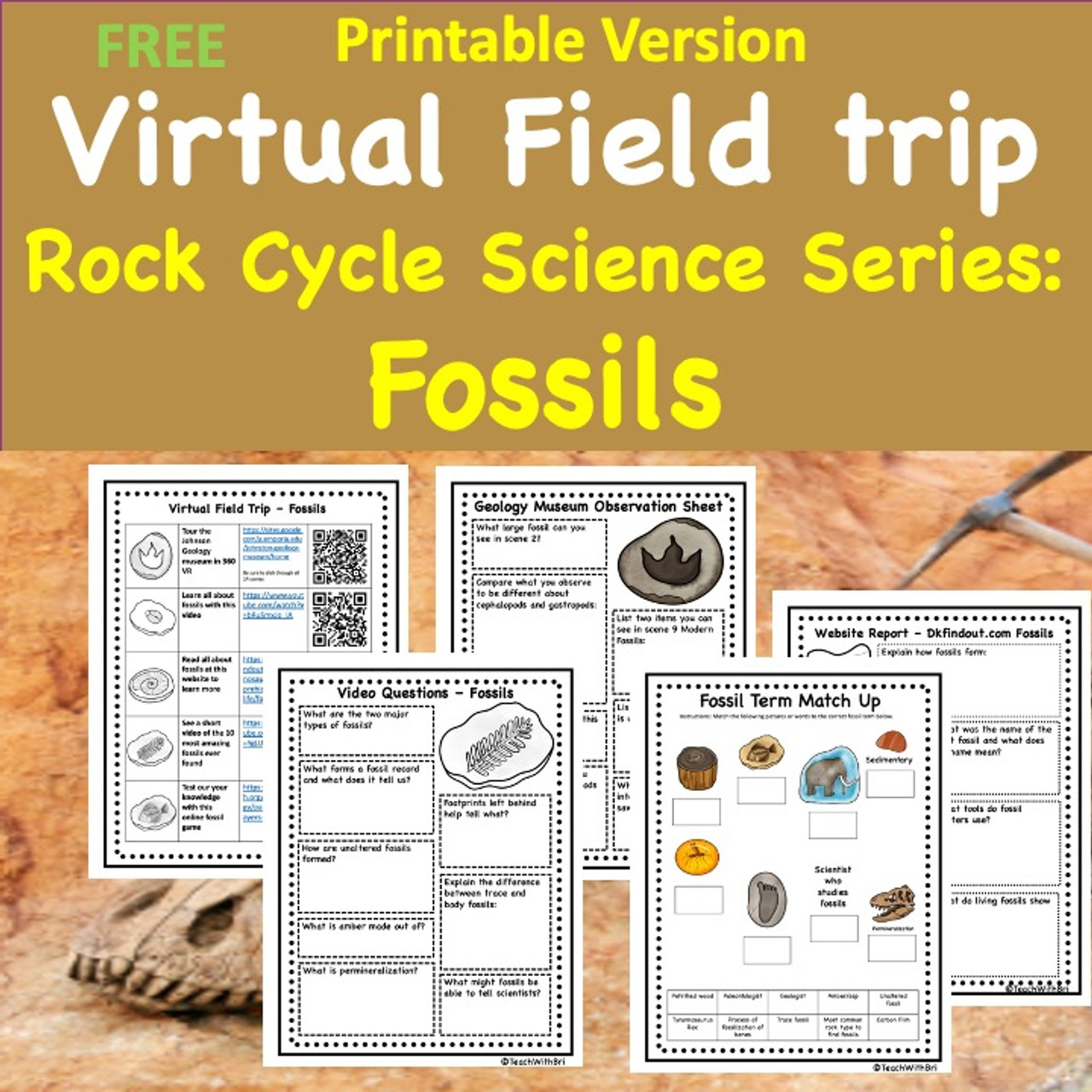 FREE: Fossils - Rock Cycle-  Virtual Field Trip - Printable Version