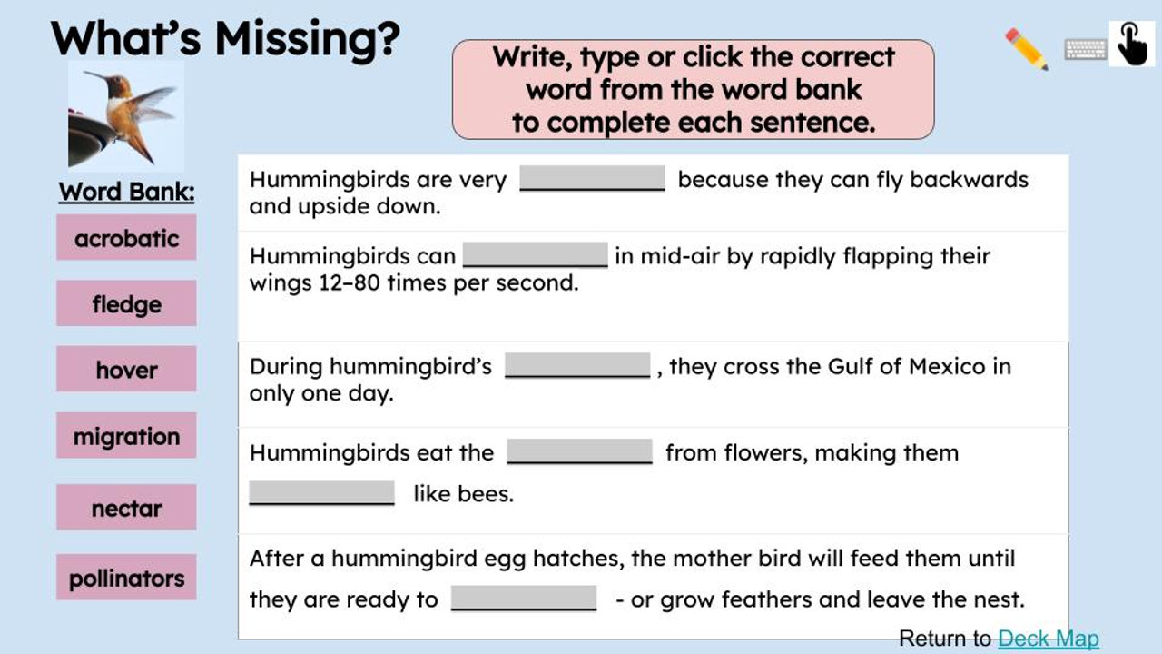 Pollinators Informational Text Reading Passage and Activities BUNDLE